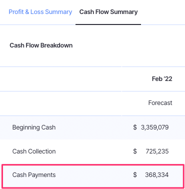 accounts payable - cash flow projection