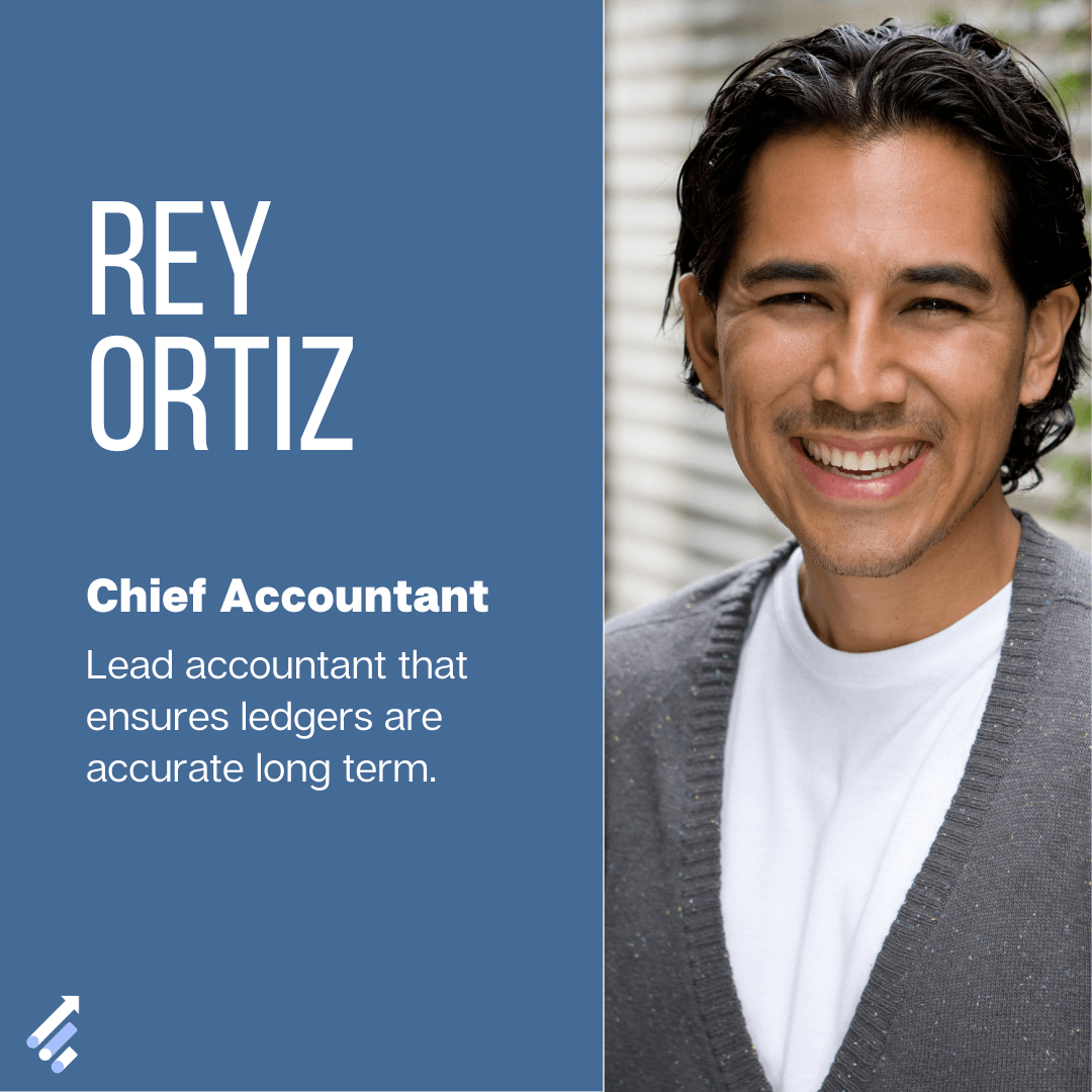 Chief Accountant Profile Example