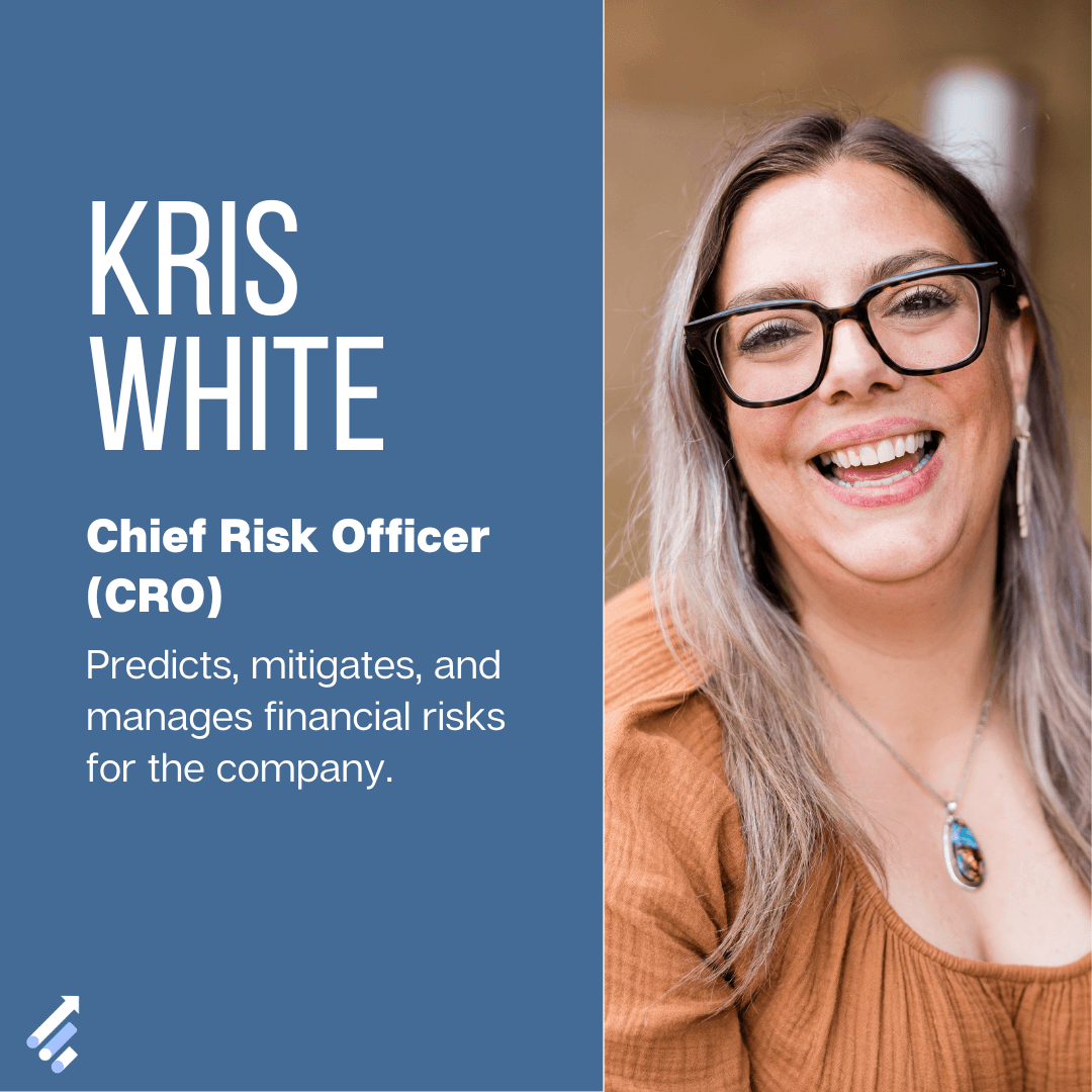 Chief Risk Officer Profile Example