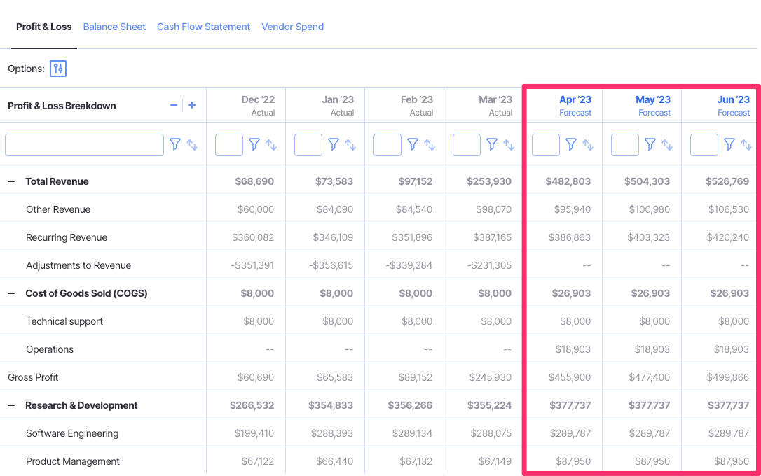 profit and loss statement forecast