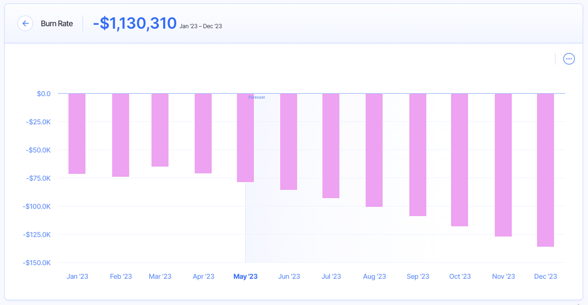 burn rate - financial metrics