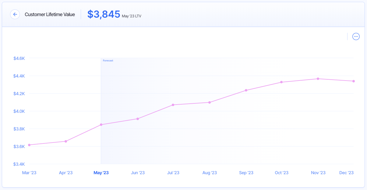 customer lifetime value - financial metrics