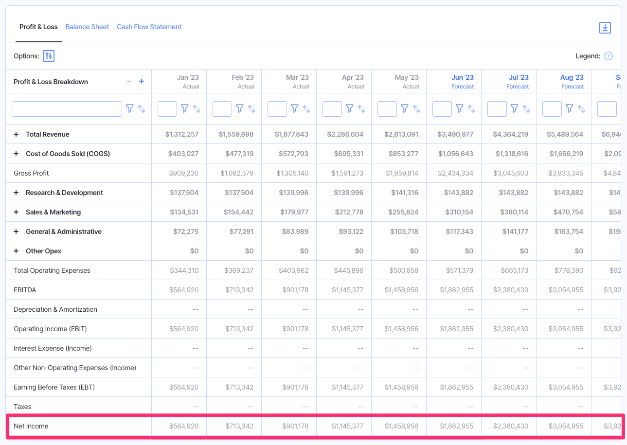 net income on profit and loss statement